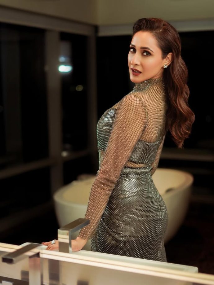 Pragya Jaiswal dazzles in a metallic silver gown