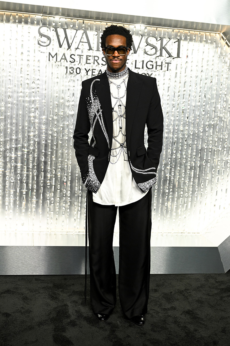 Swarovskis Masters of Light Celebration 8