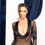 Maura Higgins wore a transparent outfit